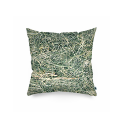 Poszewka - Siano 40x40 cm